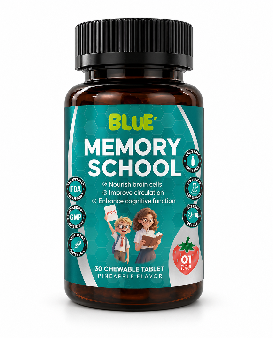 Memory School
